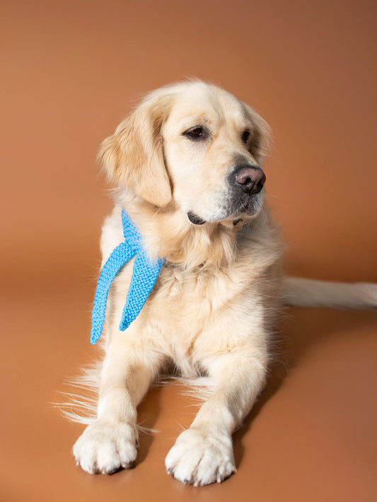 Sky Blue Dog Scarf