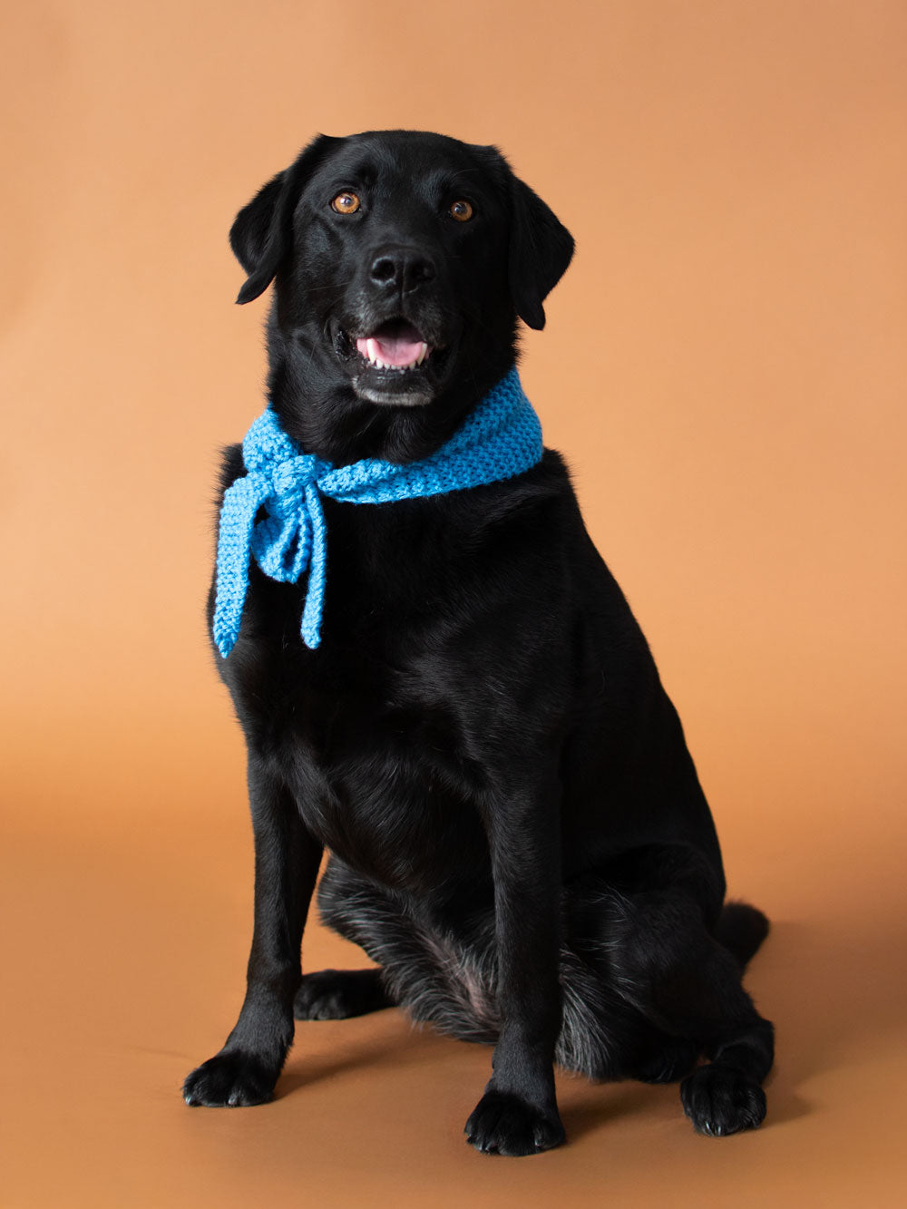 Sky Blue Dog Scarf