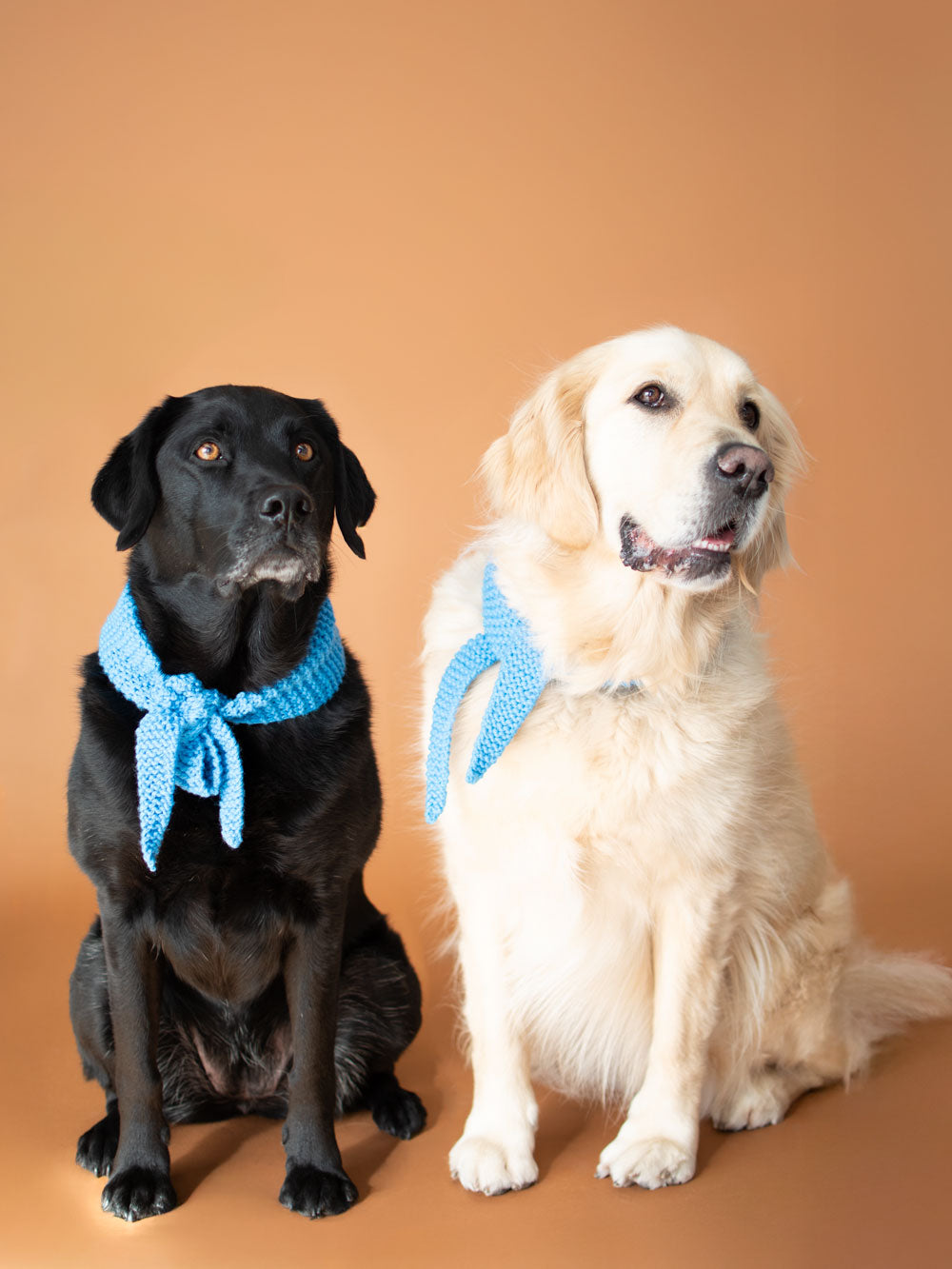 Sky Blue Dog Scarf